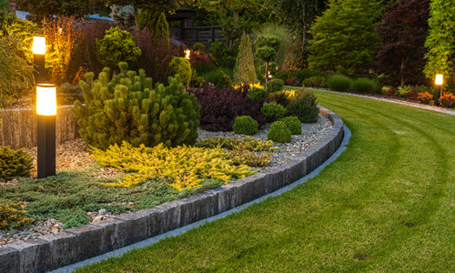 Professionally Landscaped Backyard Lawn