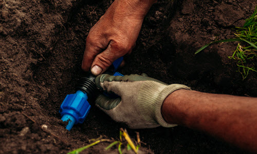 Underground Garden Watering System Installation