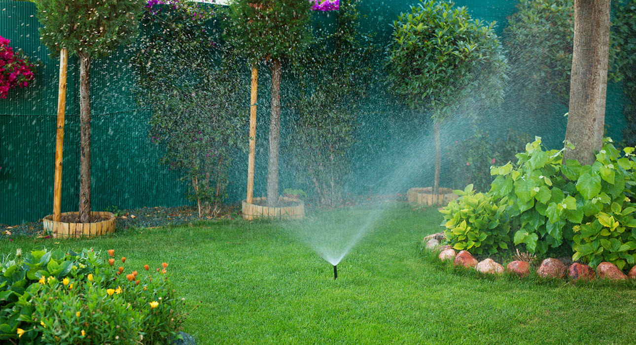 Lawn Sprinkler System