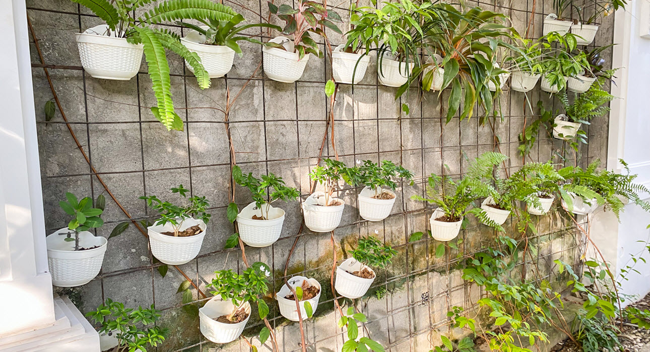 Micro-Gardening Idea