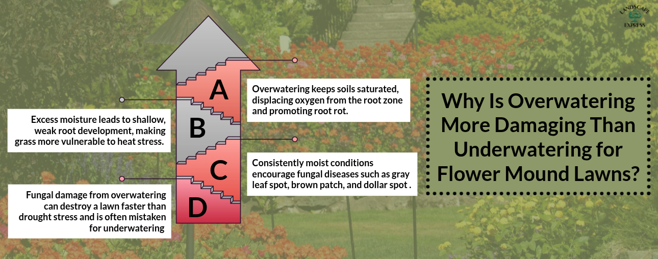 Why Is Overwatering More Damaging Than Underwatering for Flower Mound Lawns
